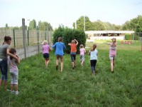 /album/fotogalerij-ontstaan-cheerleaders-/a110-0220-jpg/